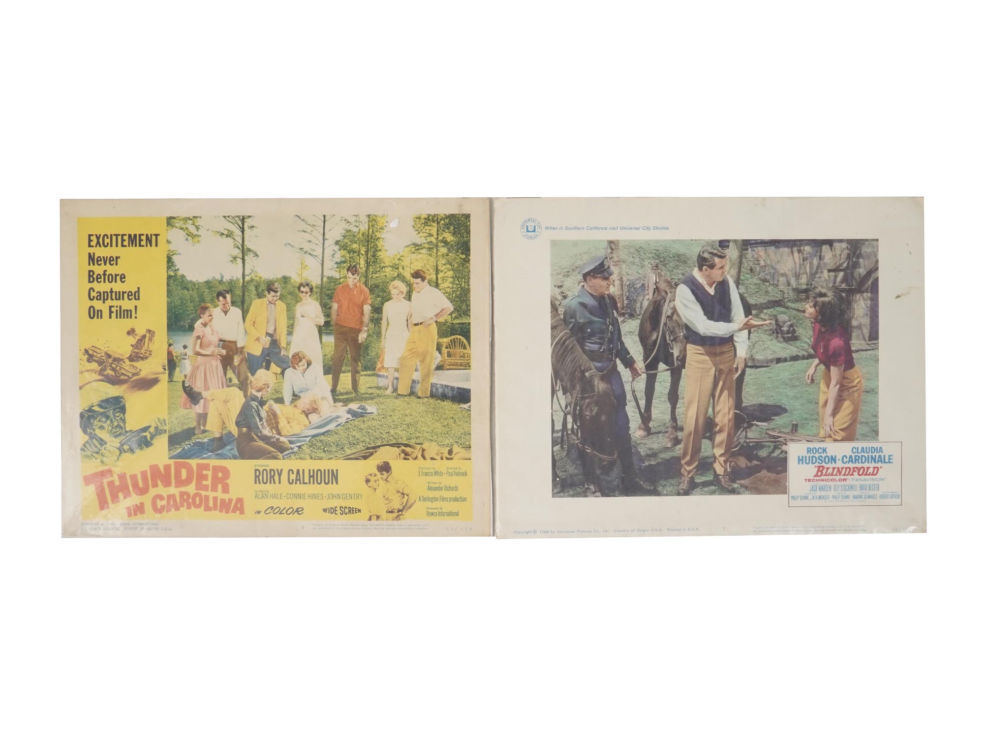 VINTAGE MOVIE POSTERS AND LOBBY CARDS PIC-2